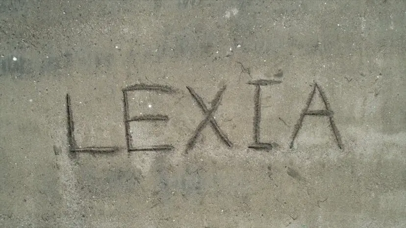 LEXIA team discussing with clients